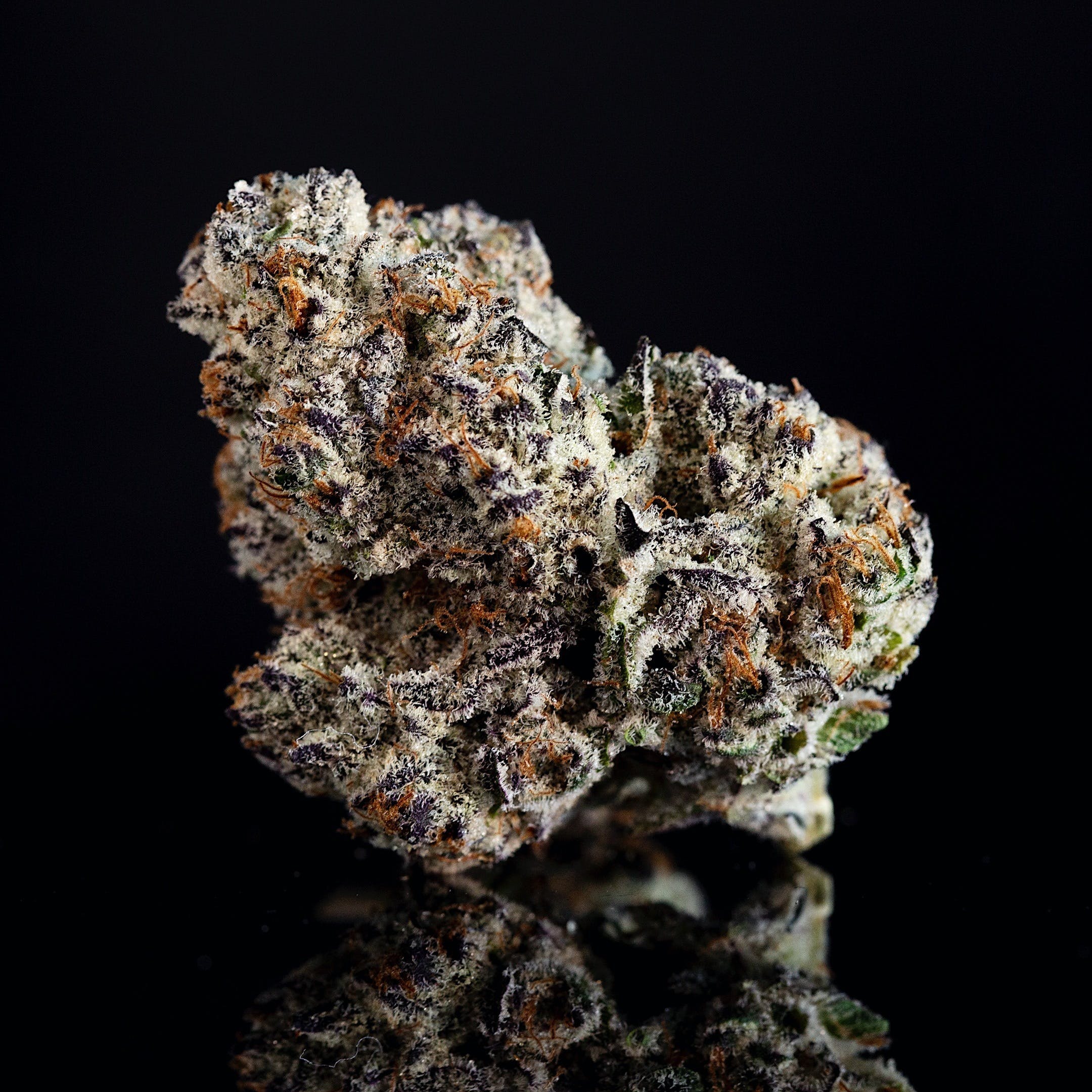 Cannabis Product Oreoz by Dom Jackson