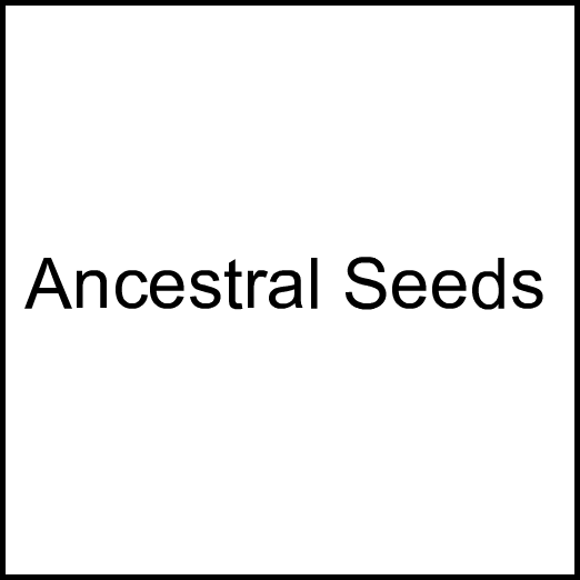 Cannabis Brand Ancestral Seeds