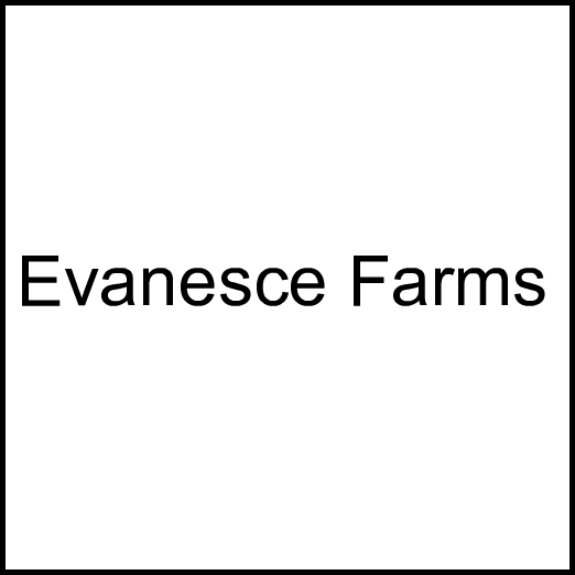 Cannabis Brand Evanesce Farms