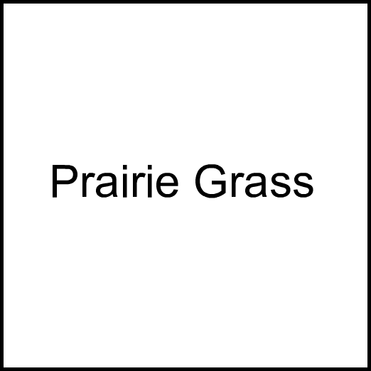 Cannabis Brand Prairie Grass