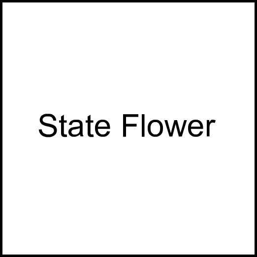 Cannabis Brand State Flower