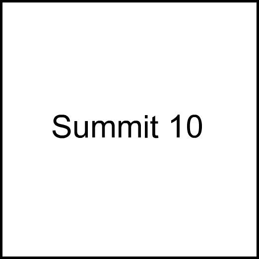 Cannabis Brand Summit 10