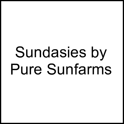 Cannabis Brand Sundasies by Pure Sunfarms