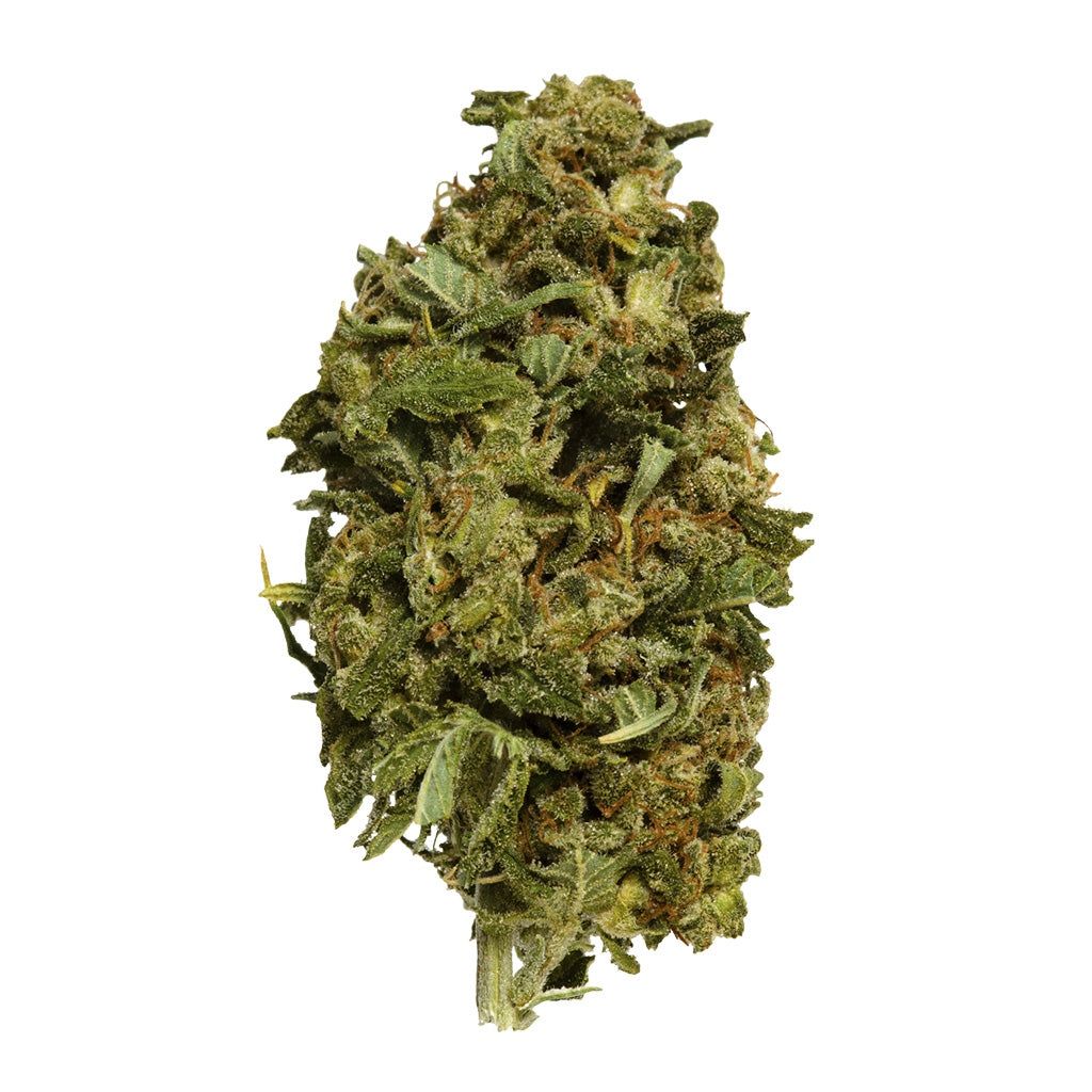 Cannabis Product OS.Reserve Sativa by Original Stash