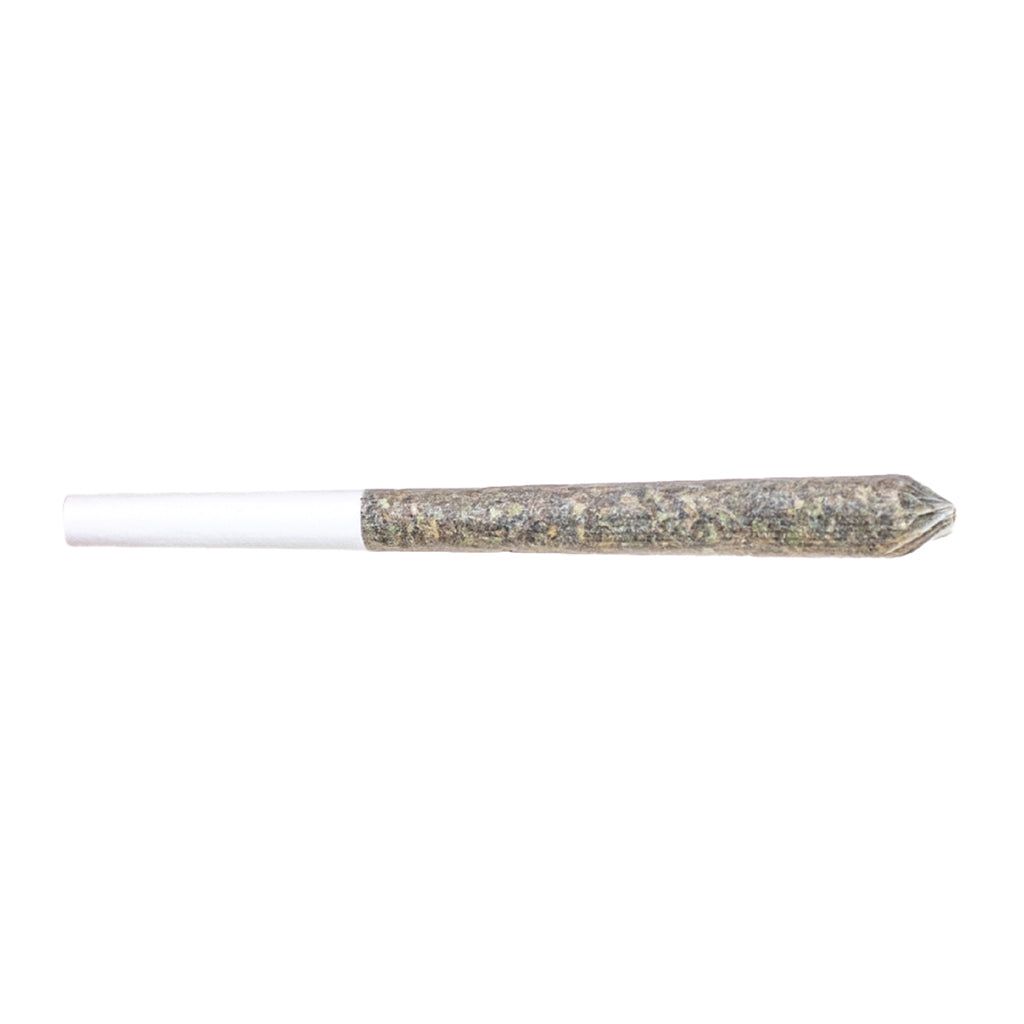 Cannabis Product Powdered Donuts Pre-Rolls by SensiMila