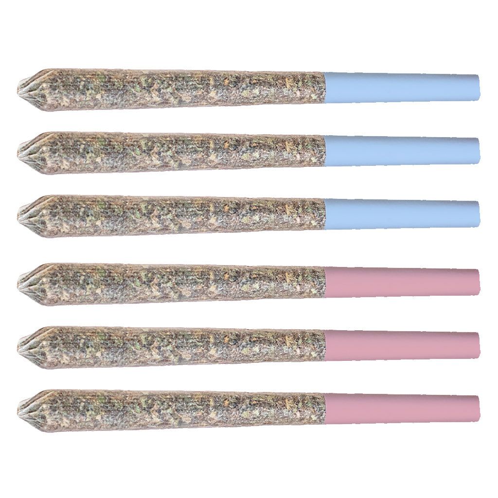 Cannabis Product Variety Pre-Roll (6-pack) by Station House - 0