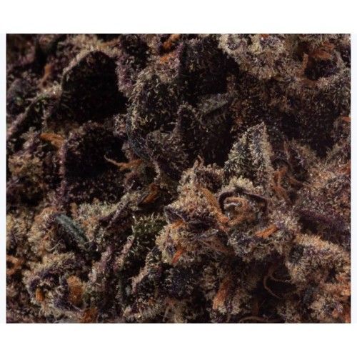 Cannabis Product ACDC by Natural History - 2