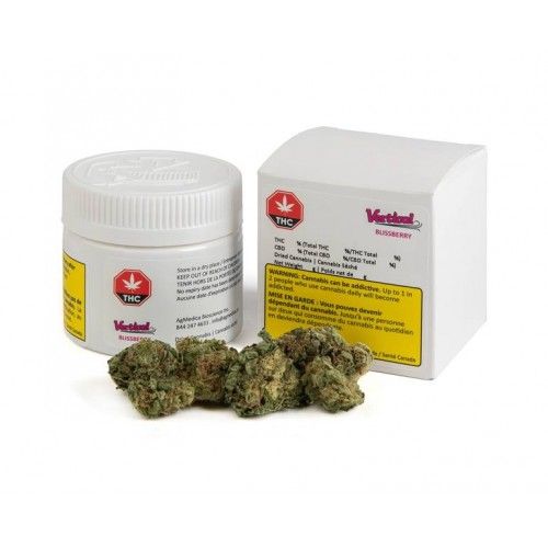 Cannabis Product Blissberry by Vertical