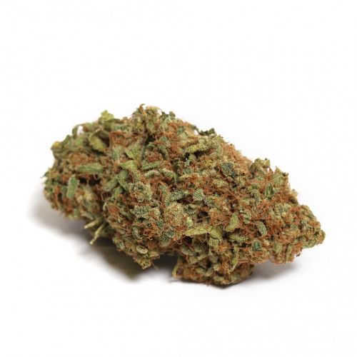 Cannabis Product Blue Haze by Northern Harvest