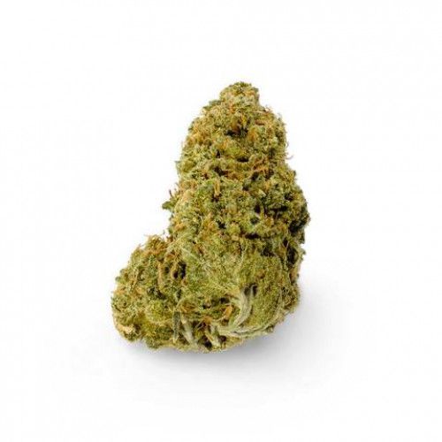 Cannabis Product Cold Creek Kush by Blissco