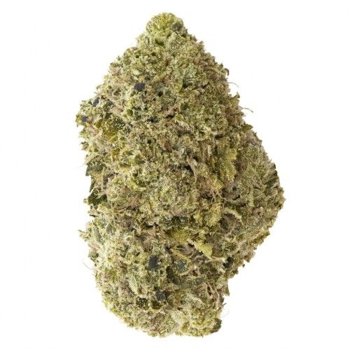 Cannabis Product Craft Collective: OG Kush by 7ACRES - 0