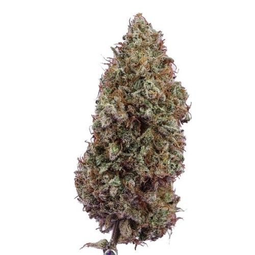 Cannabis Product Craft Lilac Diesel by High Street
