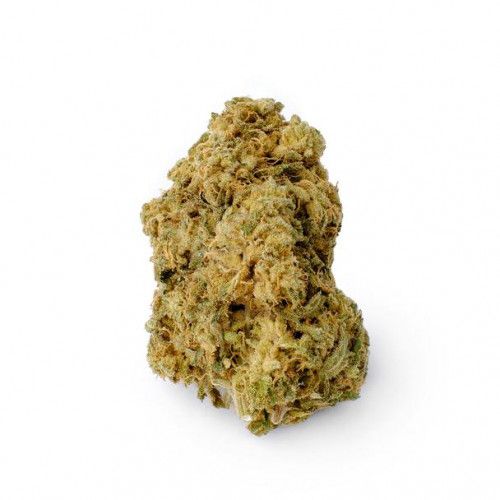 Cannabis Product Critical Plus by Blissco