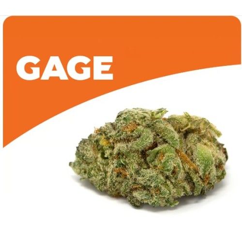 Cannabis Product Ether OG by Gage Cannabis Co.
