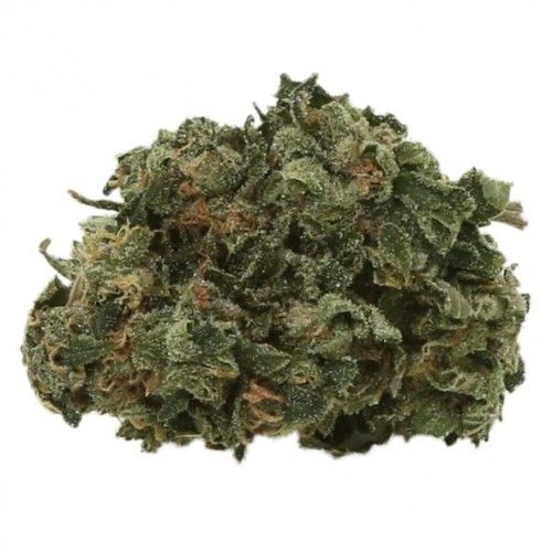 Cannabis Product Exodus Cheese by Greenhouse Seed Co.
