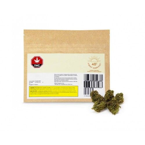 Cannabis Product Francos Lemon Cheese by 48North - 1
