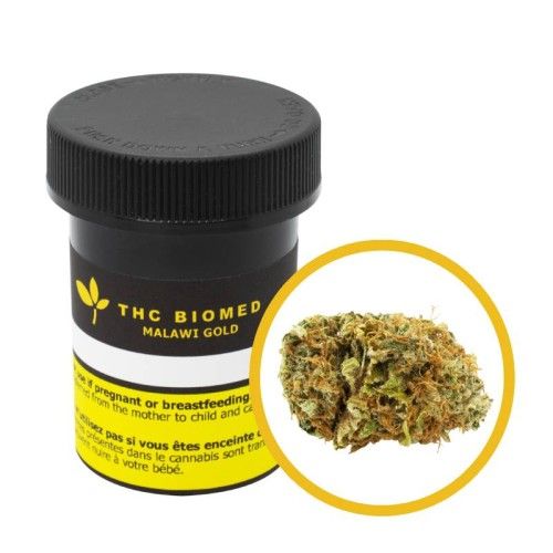 Cannabis Product Malawi Gold by THC BioMed