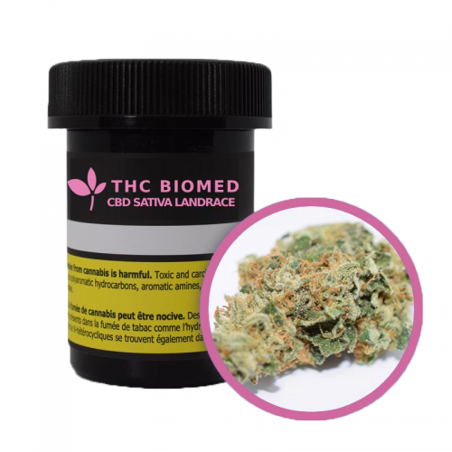 Cannabis Product Sativa Landrace CBD by THC BioMed