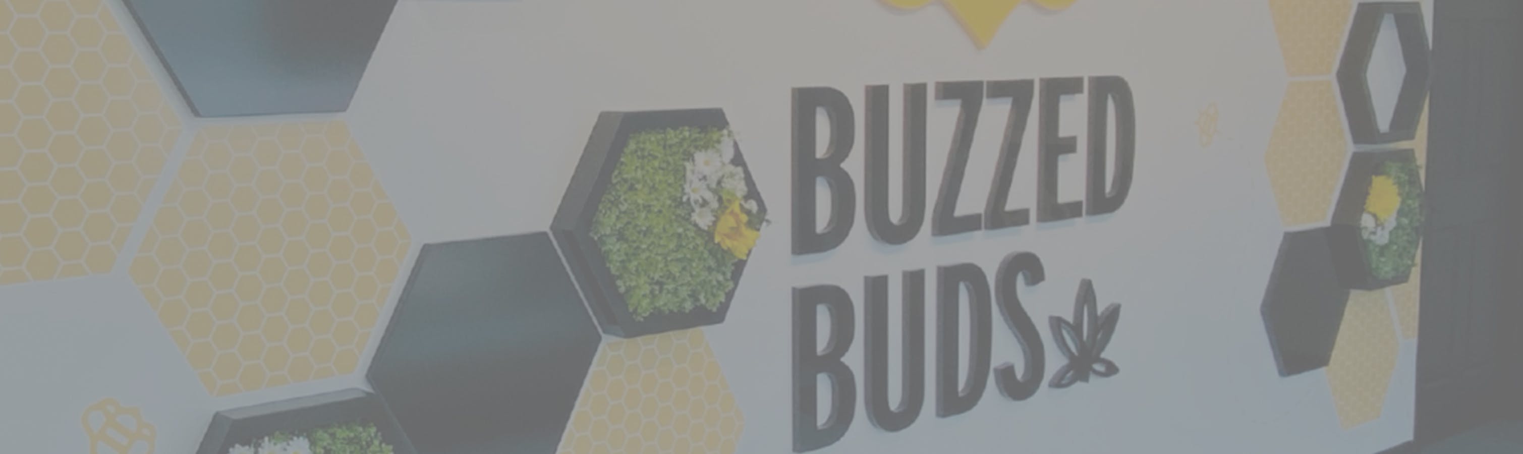 Cannabis Store Buzzed Buds (Woodview) - 0