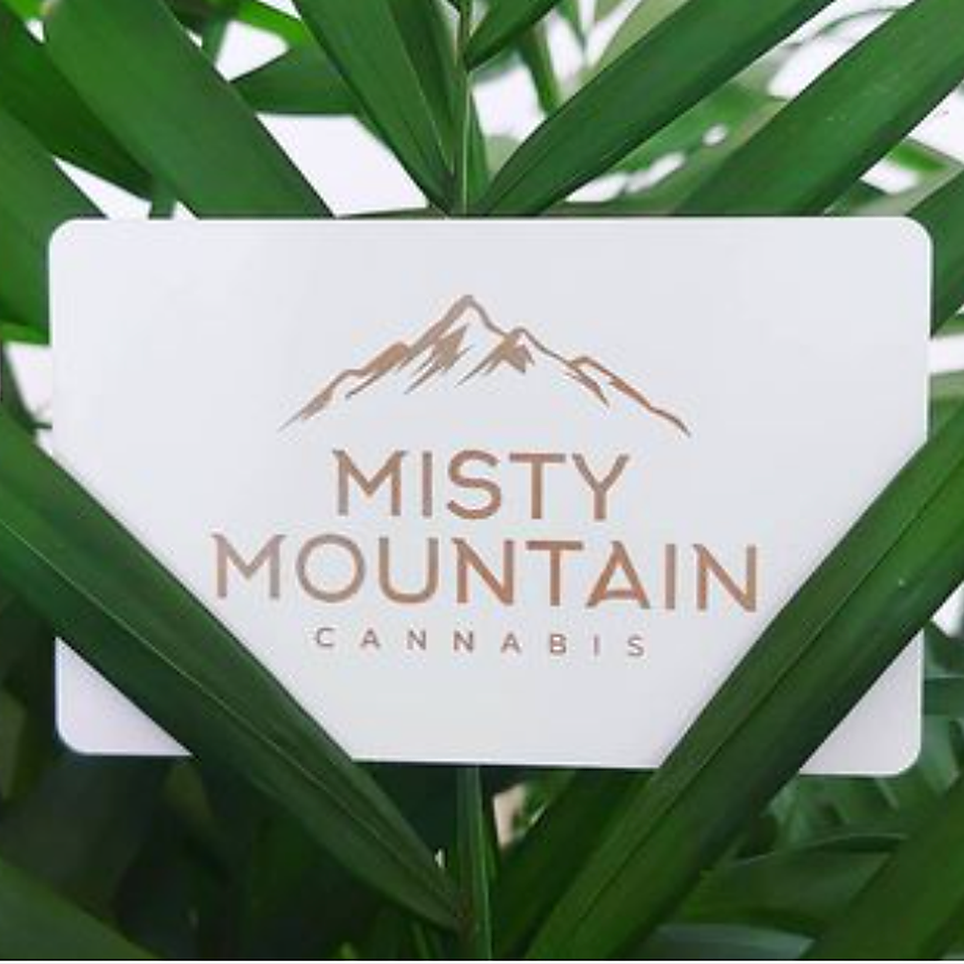 Cannabis Store Misty Mountain Cannabis  - 0
