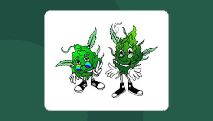 Cannabis Store Best Buds Forever - Collingwood - 1