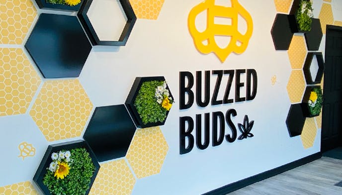 Cannabis Store Buzzed Buds (Ottawa) - 1