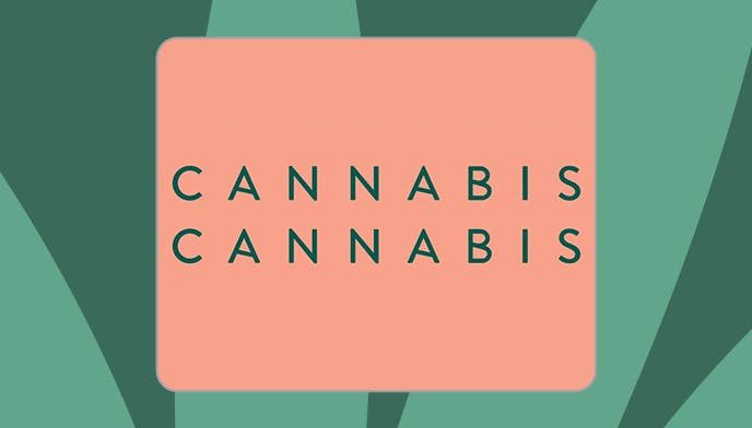 Cannabis Store Cannabis Cannabis - 0