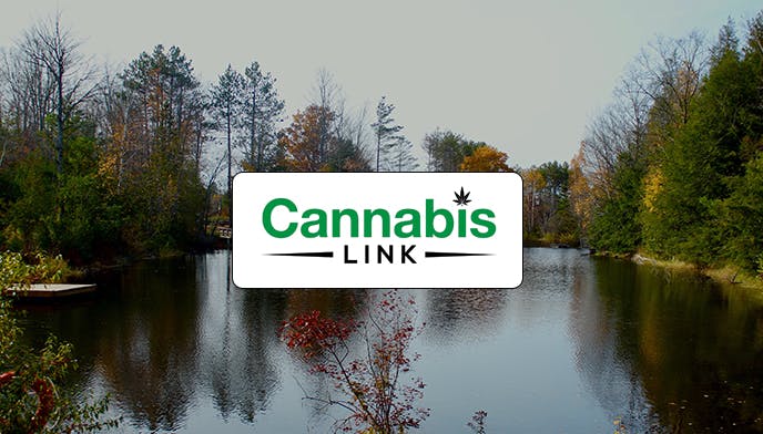 Cannabis Store Cannabis Link (Highbury) - 1