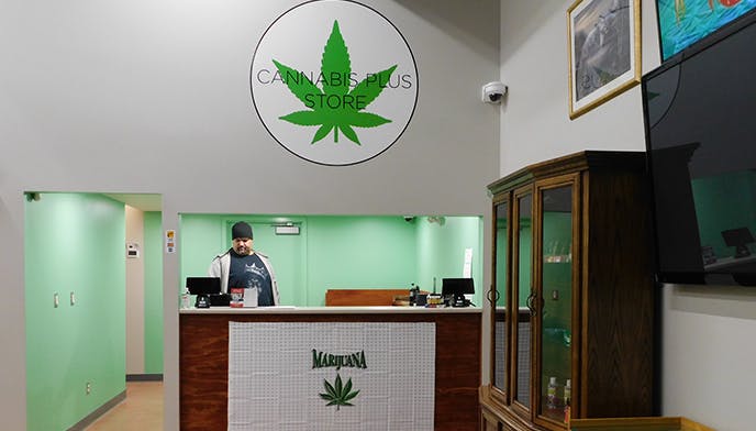Cannabis Store Cannabis Plus Store - 1