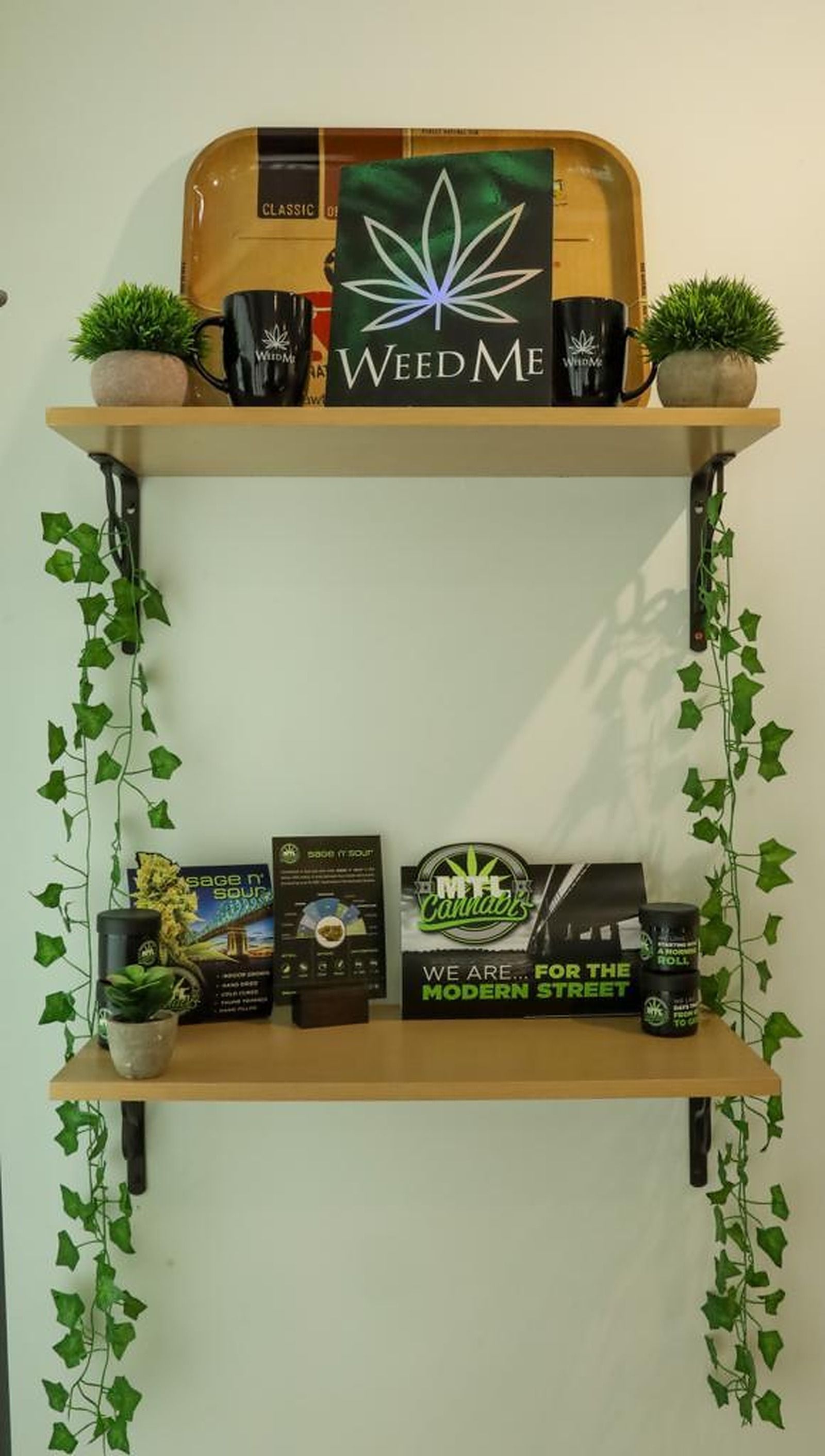 Cannabis Store Elevated Minds - Stoney Creek - 20