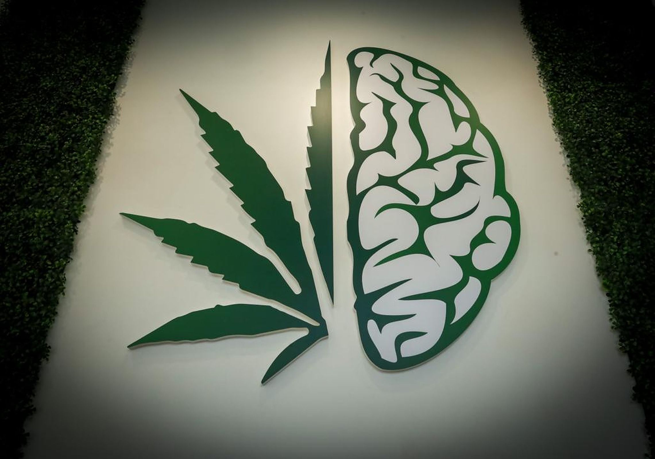 Cannabis Store Elevated Minds - Stoney Creek - 7