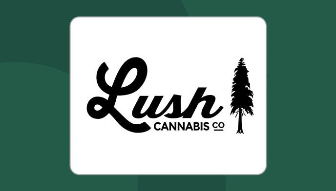 Cannabis Store Lush Cannabis - 1