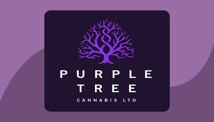 Cannabis Store Purple Tree Cannabis - 1