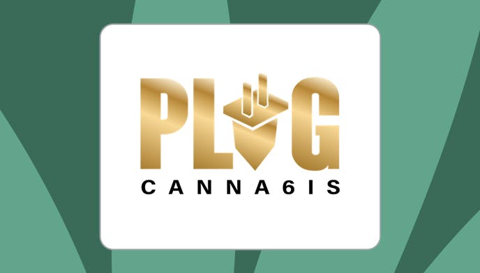 Cannabis Store The Plug Canna6is - Bloor - 1